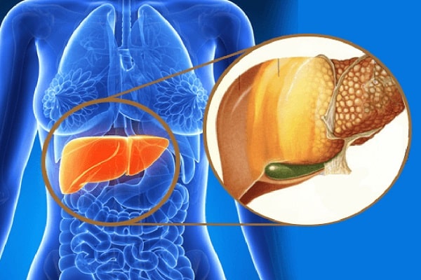 طب سنتی شمیم