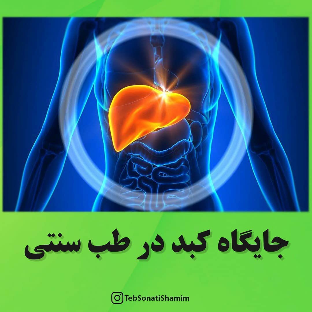 جایگاه کبد در طب سنتی