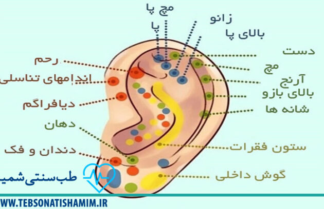 طب چینی در کرج