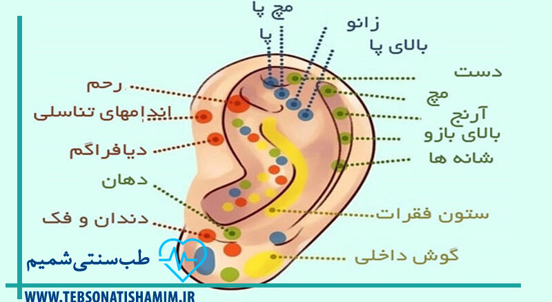 طب چینی در کرج