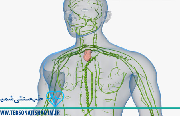 بازیابی سیستم لنفاوی