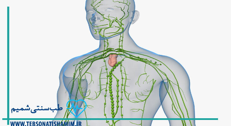 بازیابی سیستم لنفاوی