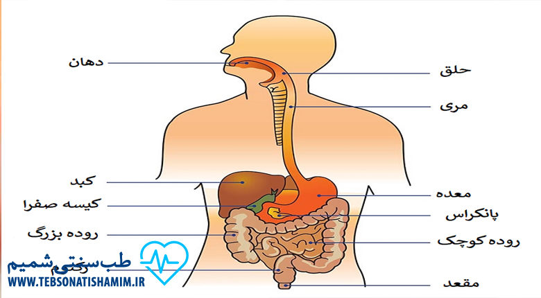 پیشگیری از بیماری گوارشی