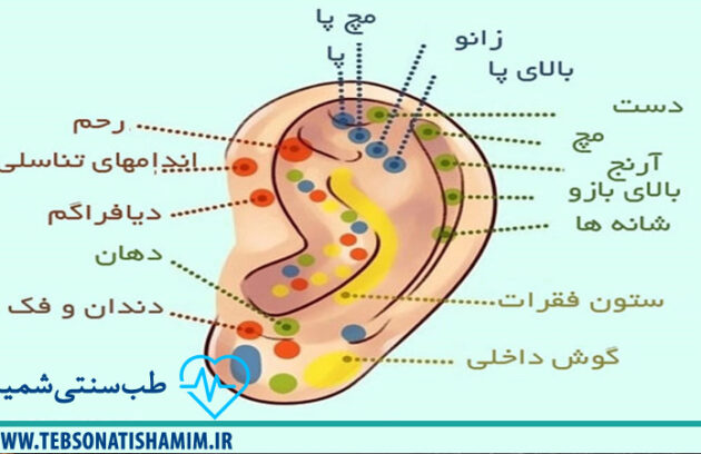 فیزیوتراپی و توانبخشی کرج | طب سوزنی در کرج