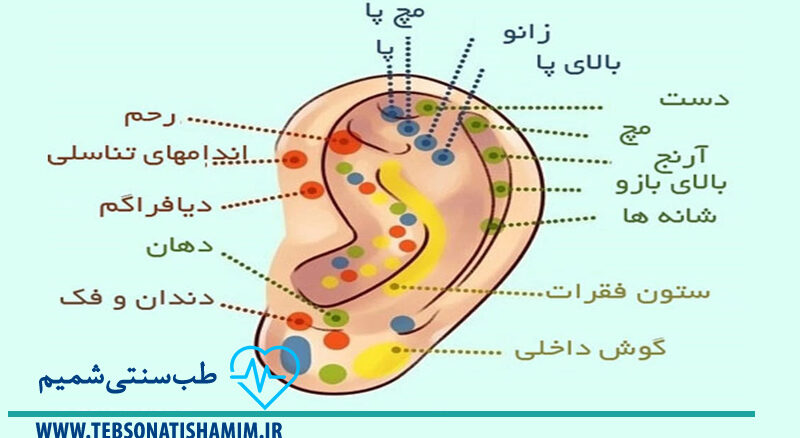 فیزیوتراپی و توانبخشی کرج | طب سوزنی در کرج