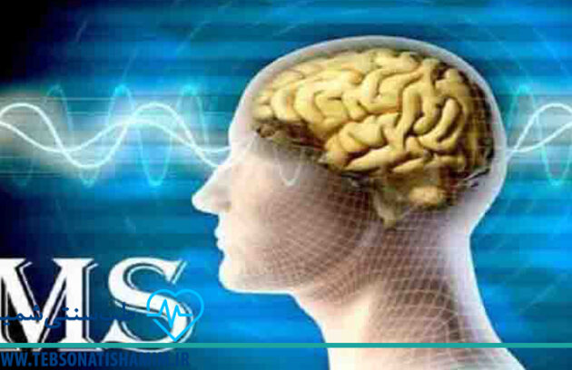 فیزیوتراپی و توانبخشی کرج | طب سوزنی در کرج