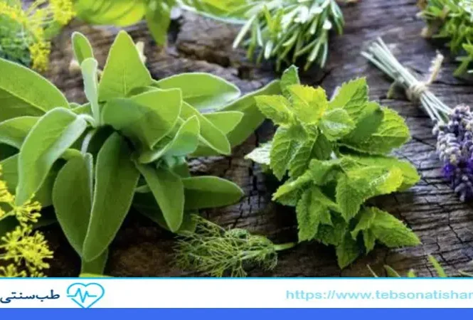 بهترین گیاهان دارویی برای تقویت سیستم ایمنی