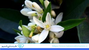 عرق بهارنارنج برای تنظیم خواب