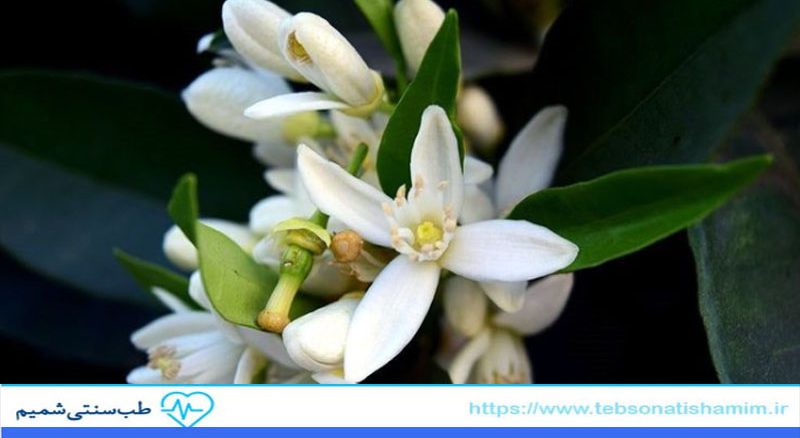 عرق بهارنارنج برای تنظیم خواب