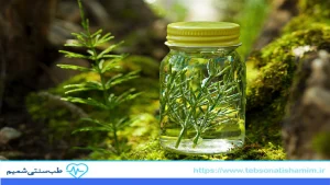 خواص عرقیات گیاهی برای پاکسازی کبد